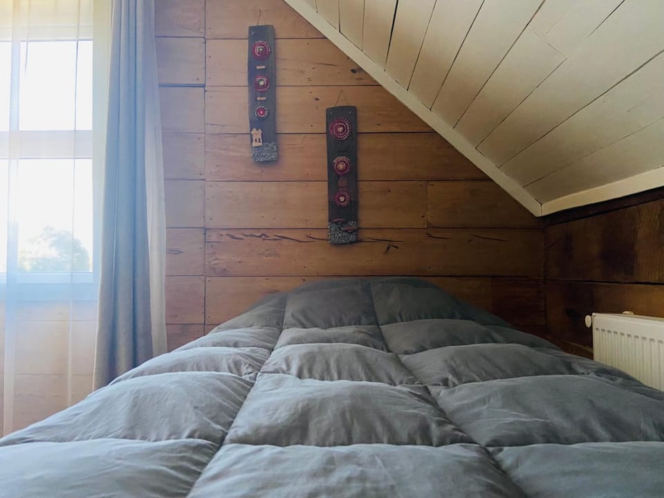 Casa Apel Hostel Bed and Breakfast in Puerto Varas