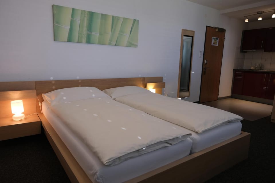 Hôtel Oasis Hotel in Canton of Bern (Region)
