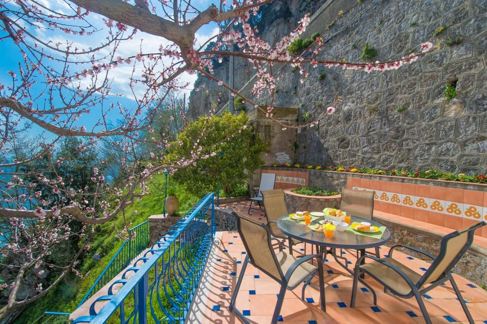 Garden, Balcony/Terrace