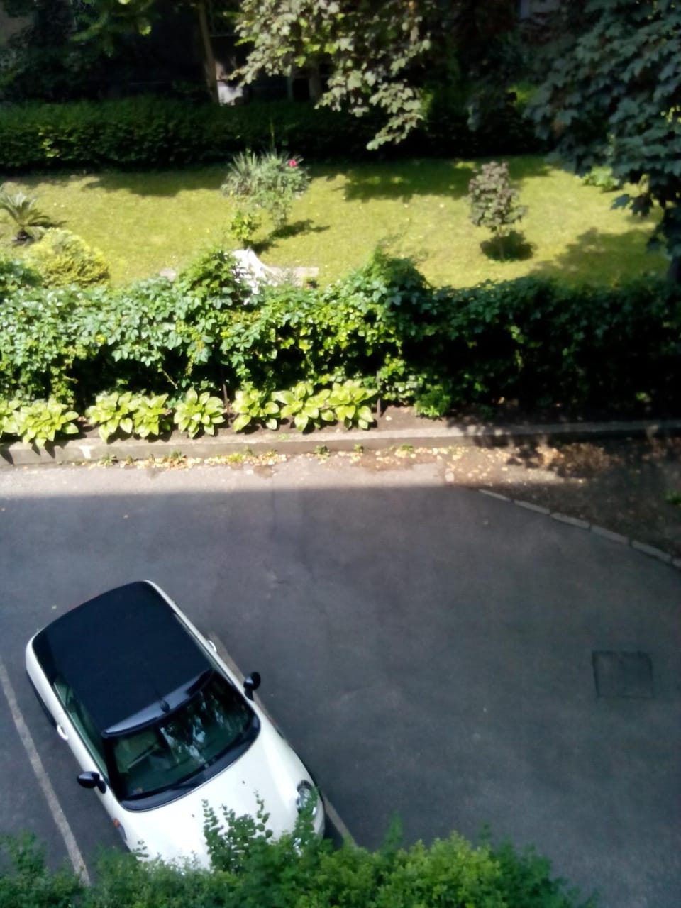 Day, Garden view
