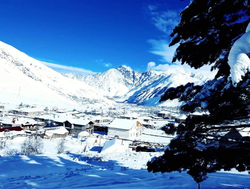 Winter