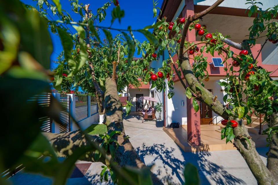 Garden, Garden