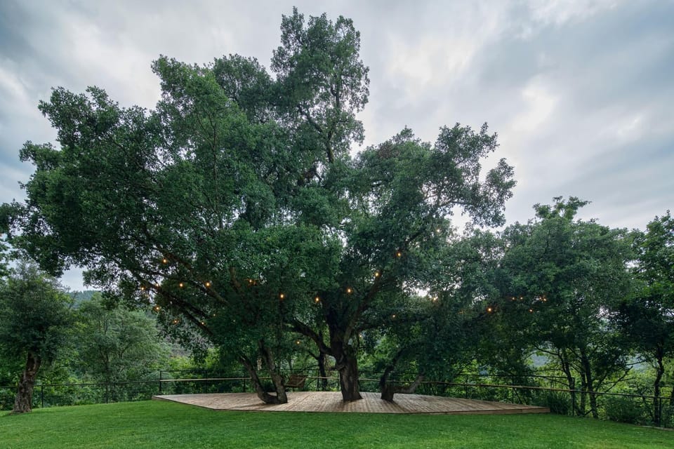 Casa do Rio Farm Stay in Porto District