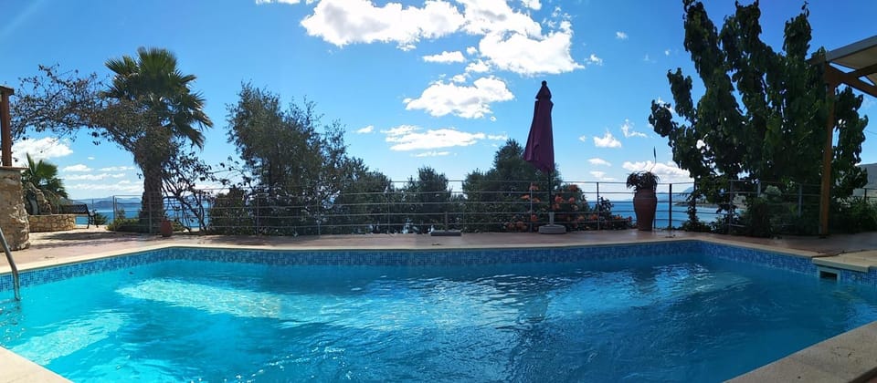 Pets, Swimming pool