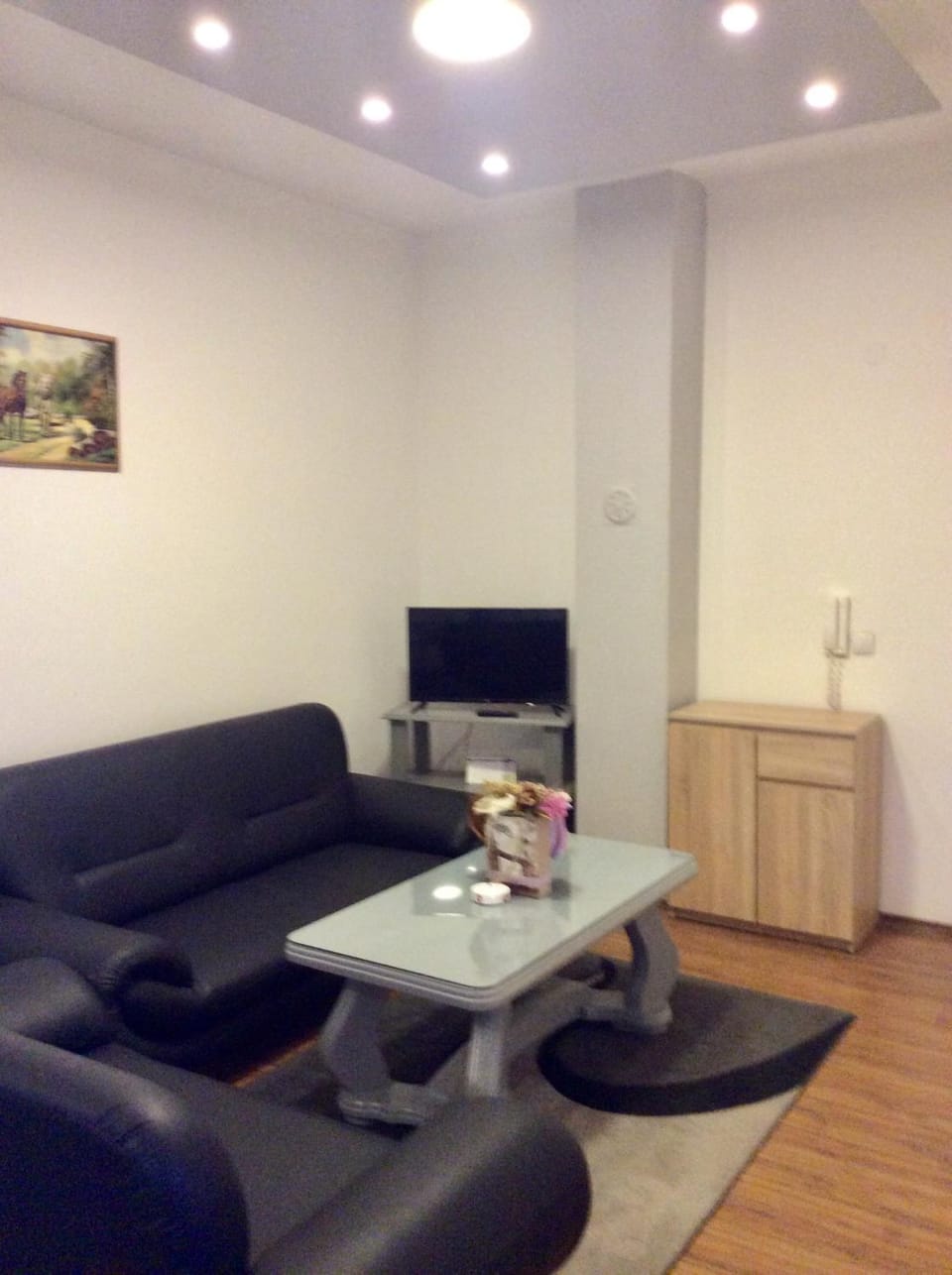 Apartman br.1 Apartment in Vojvodina