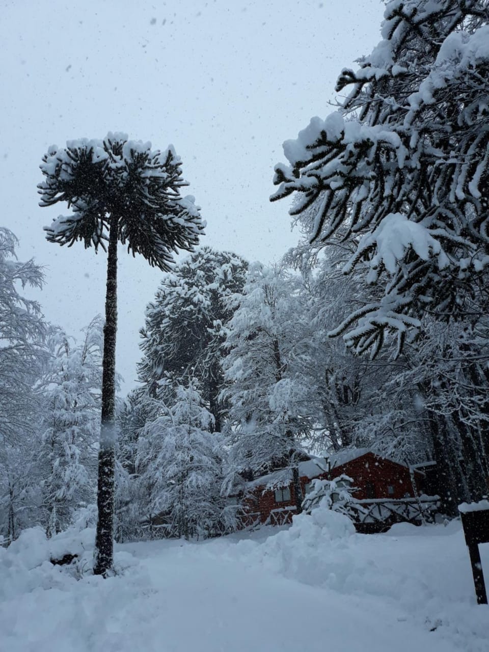 Natural landscape, Winter