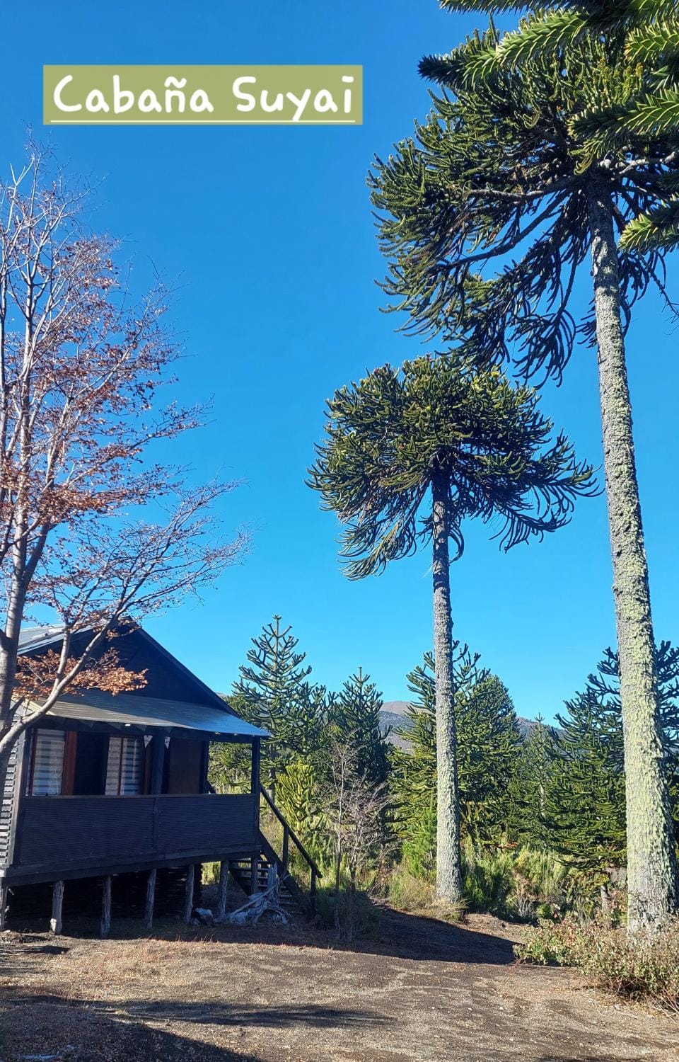 View (from property/room), Mountain view