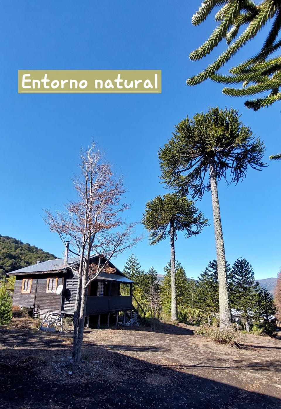 Cabañas Pukem House in Araucania, Chile