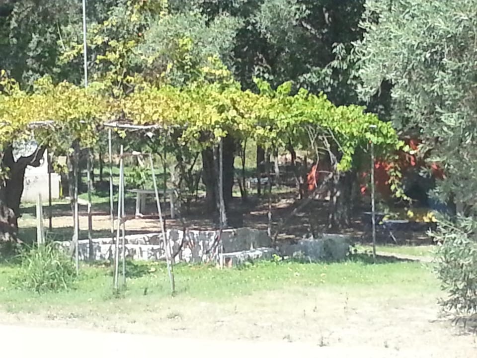 Garden, View (from property/room)