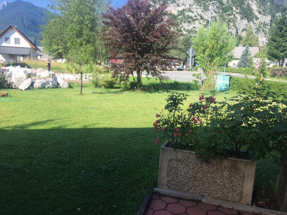Garden, Garden view, Mountain view, Quiet street view