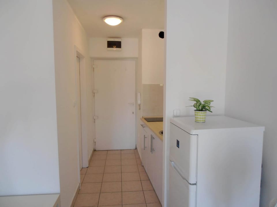 Budapest Baross Apartment Apartment in Budapest