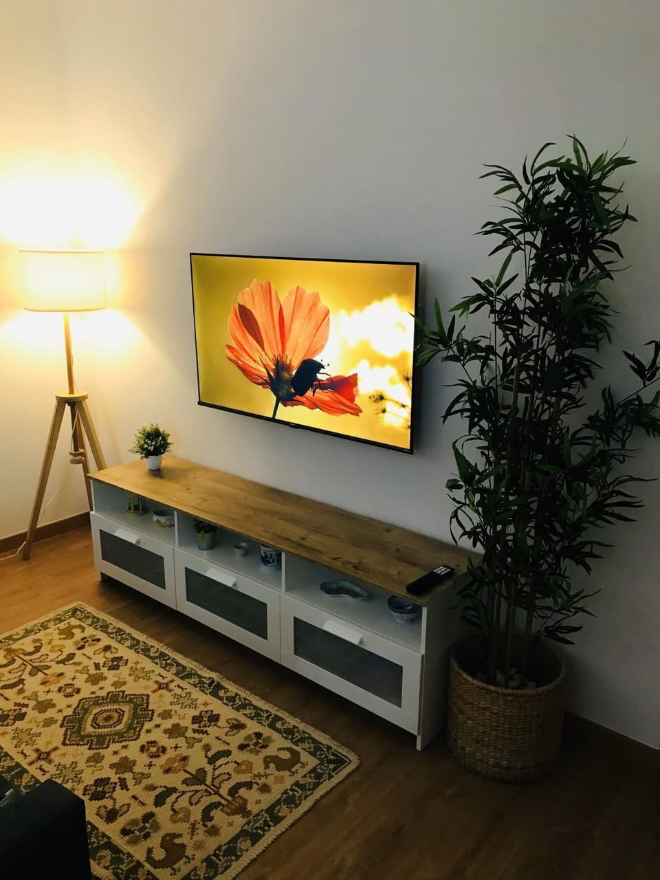 Communal lounge/ TV room, TV and multimedia