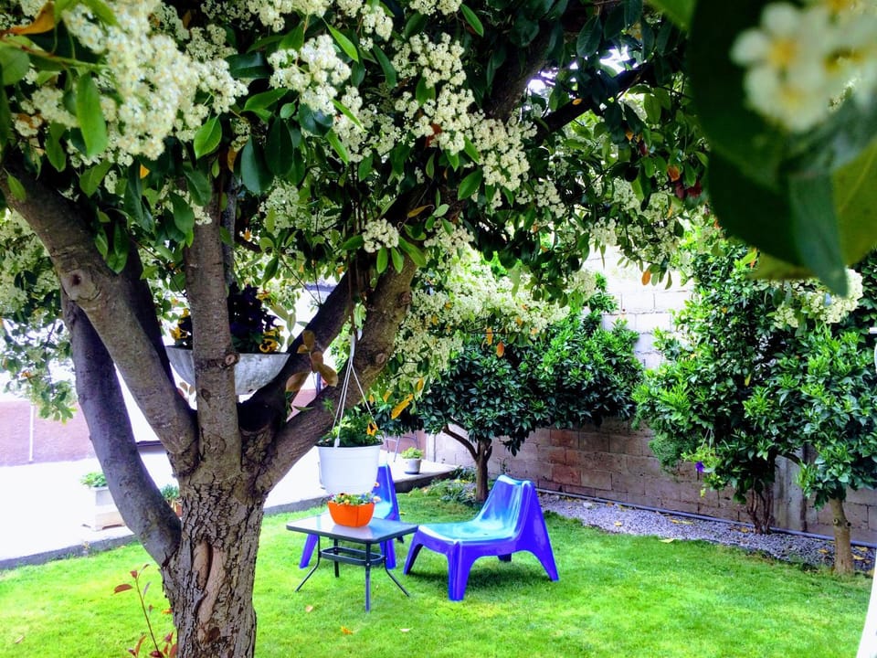 BBQ facilities, Garden