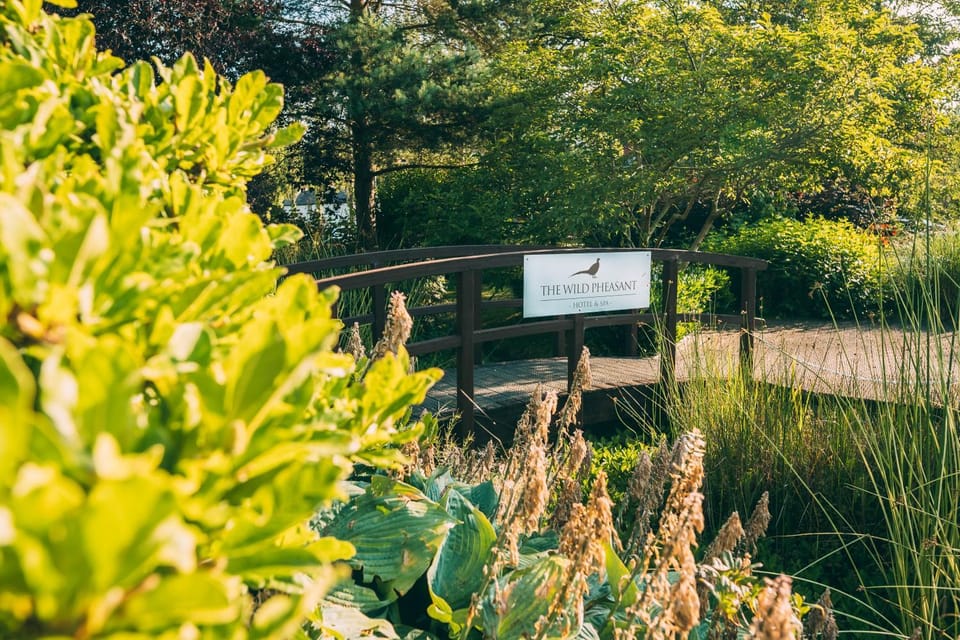 Spring, Day, Natural landscape, Garden, Garden view