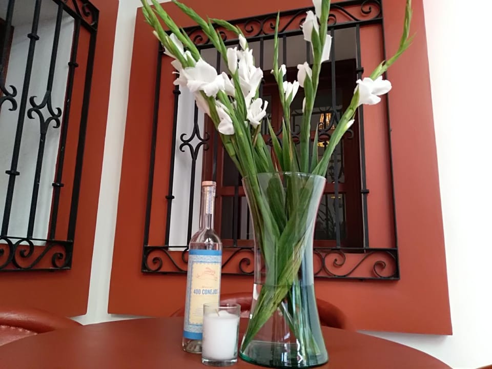Garden, Balcony/Terrace, Lobby or reception