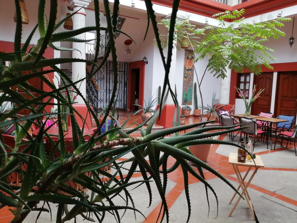 Casa Agave Centro Histórico Oaxaca Bed and Breakfast in Oaxaca