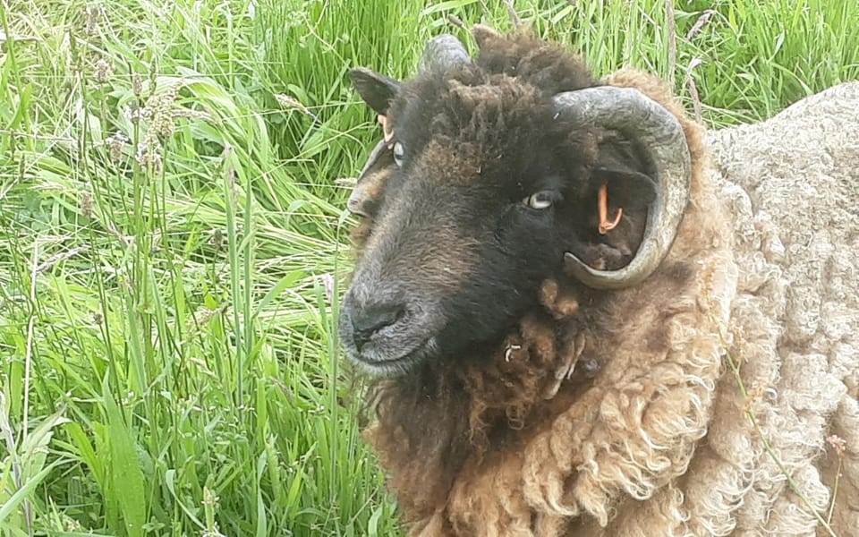 LPC Naturiste Accommodation - Adult Only NATURIST Bed and Breakfast in Normandy