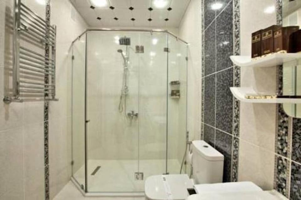Shower, Toilet
