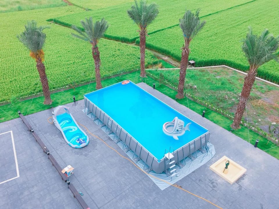 Swimming pool, Swimming pool