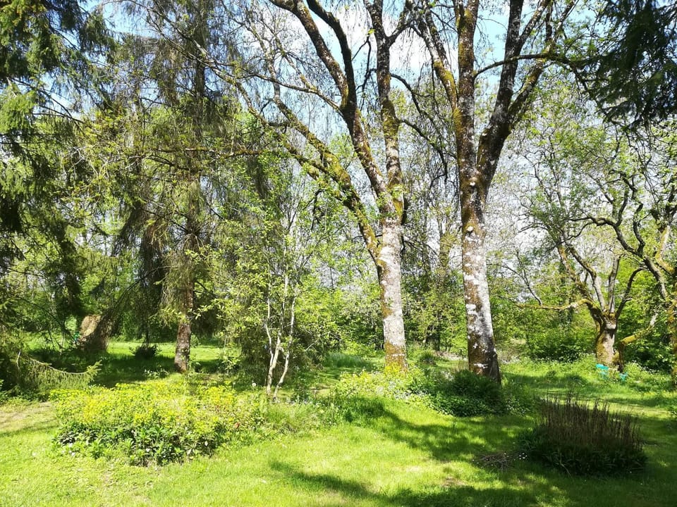 Garden view
