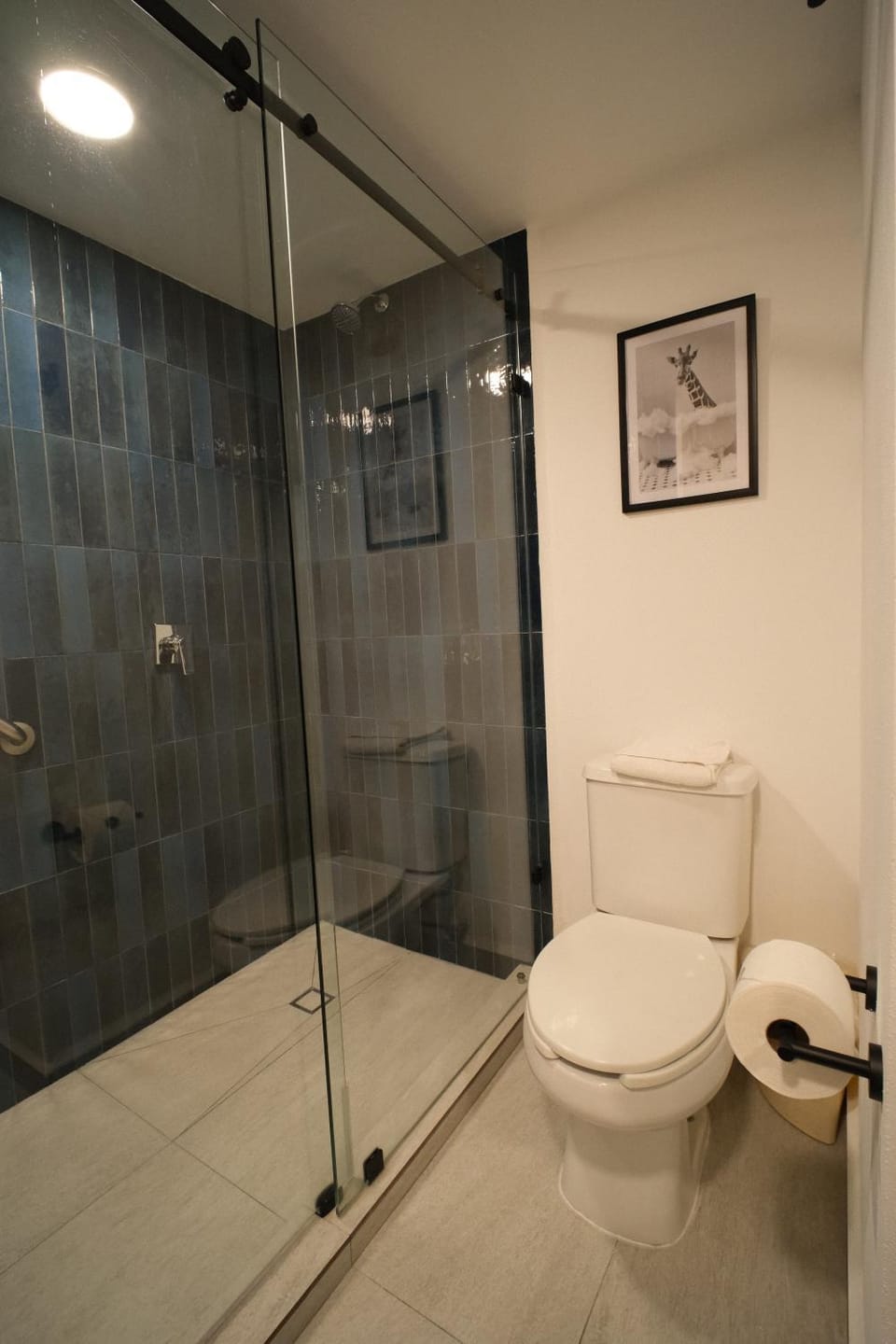 Shower