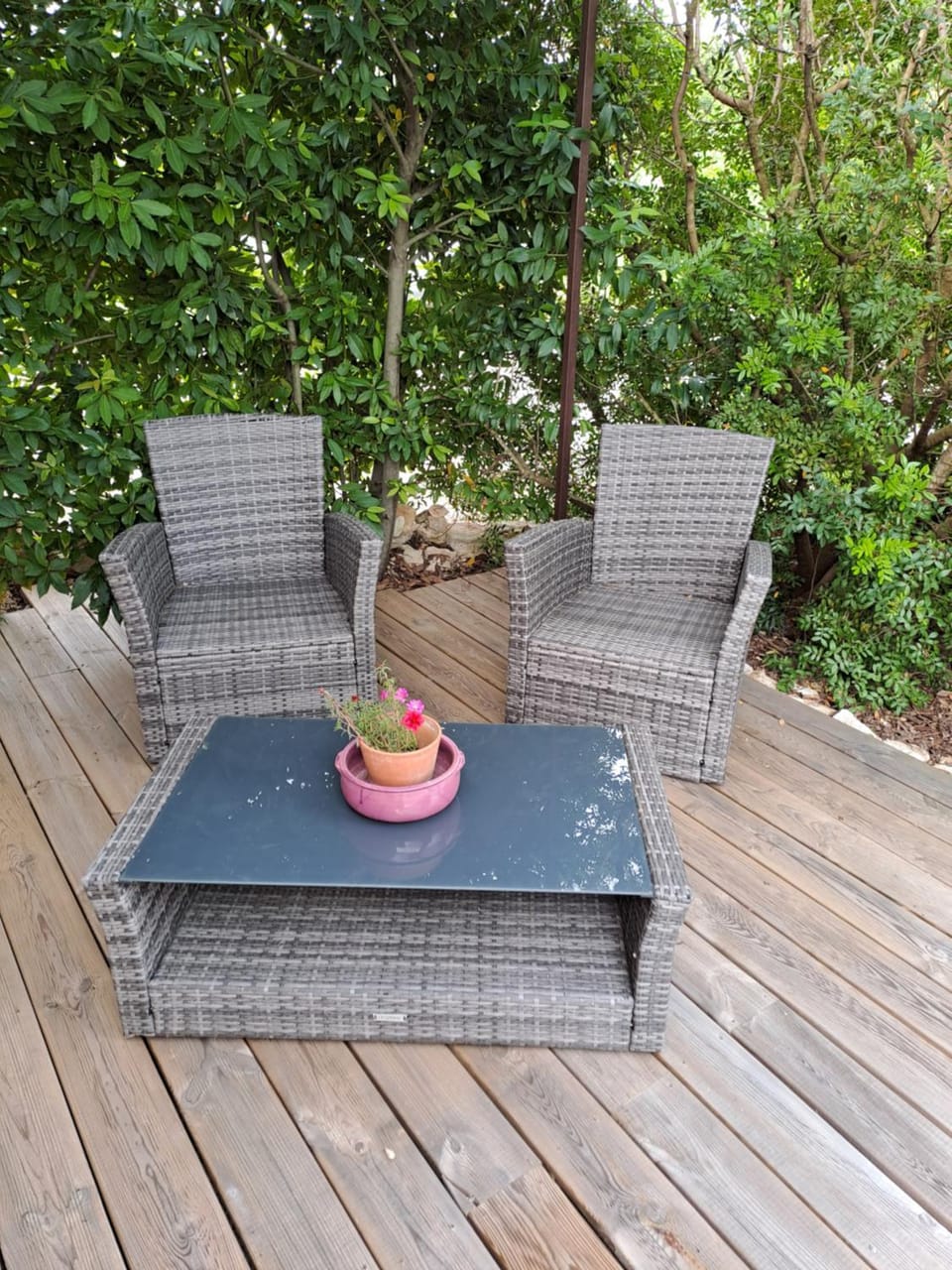 Patio, Garden, Garden view