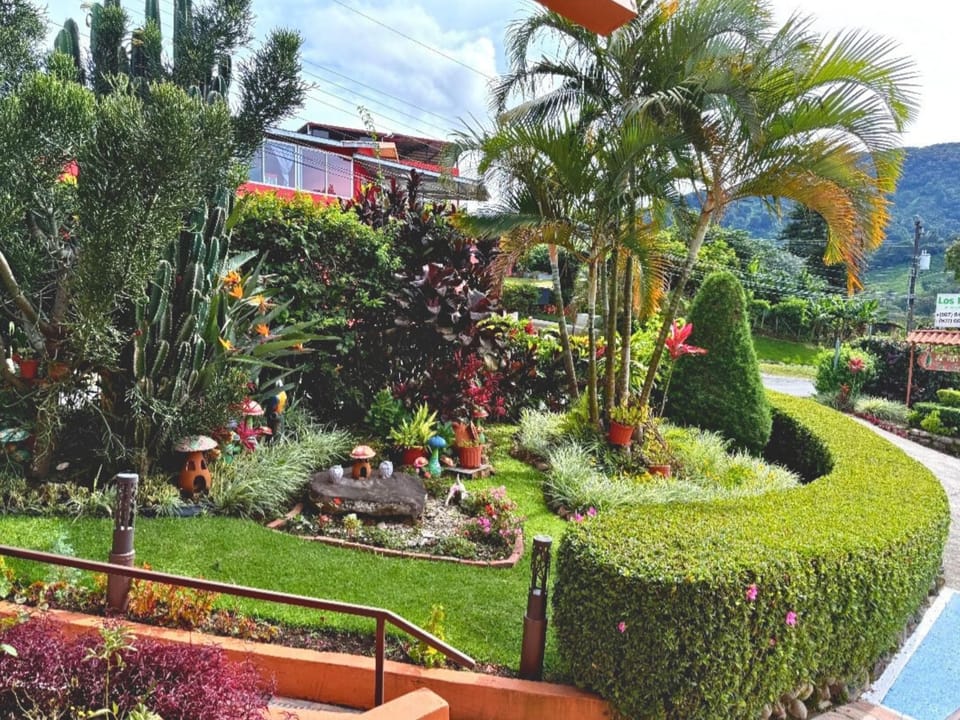 Garden, Garden view