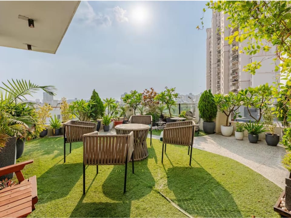 Garden view