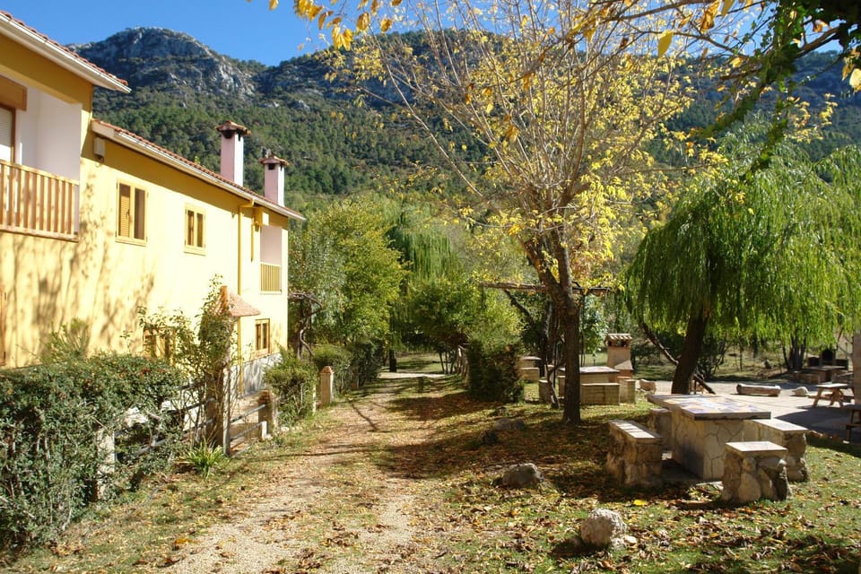Off site, Day, Natural landscape, BBQ facilities, Garden, Autumn