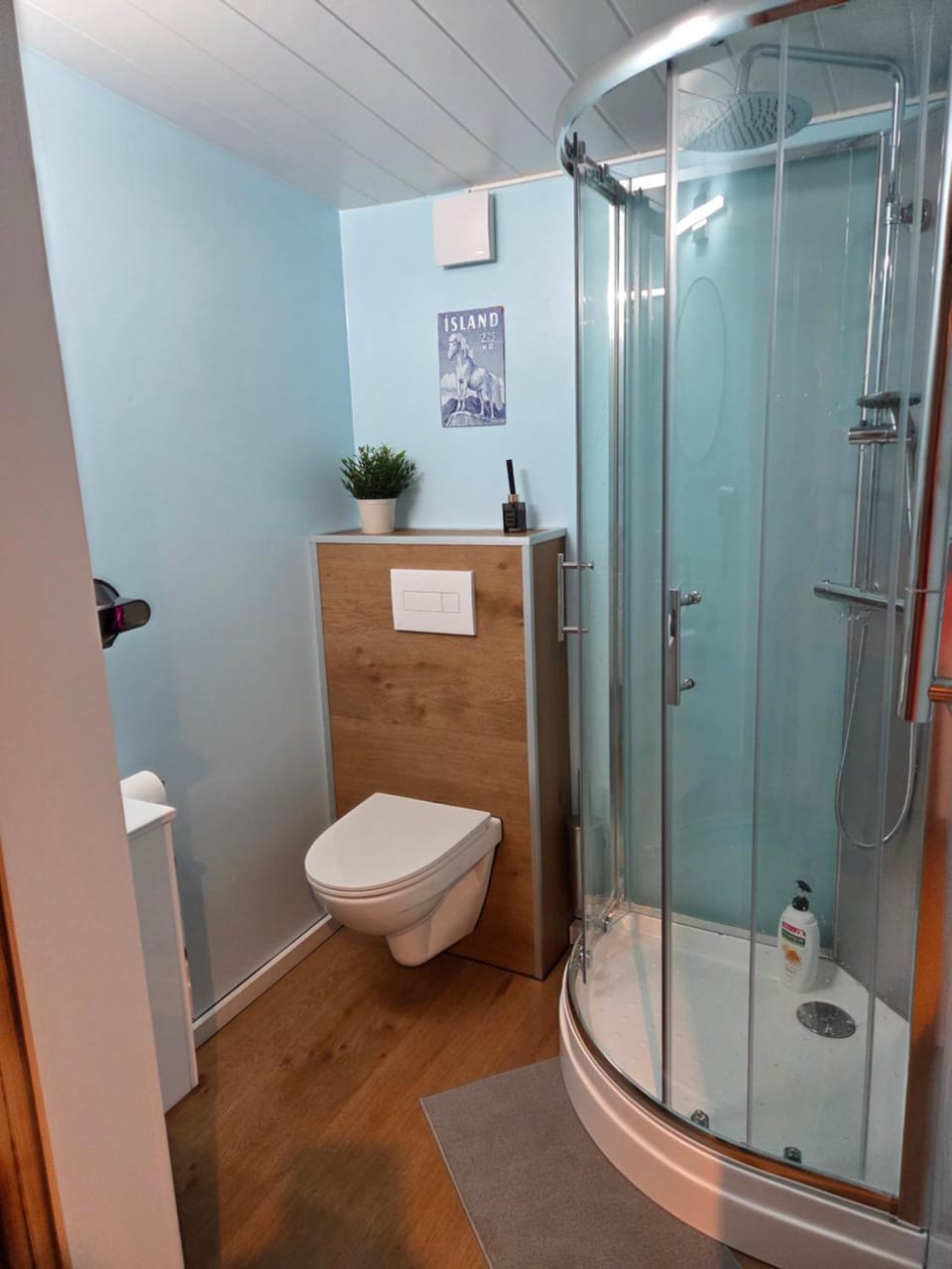 Shower, Toilet, Bathroom, hair dryier