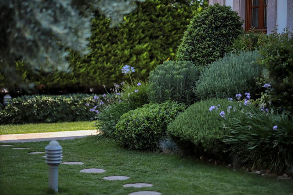 Day, Garden view