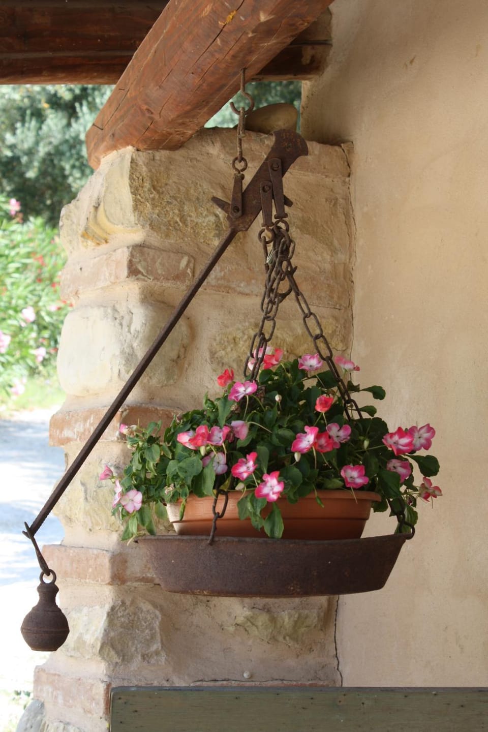 Agriturismo i Cigni Apartment in Marche