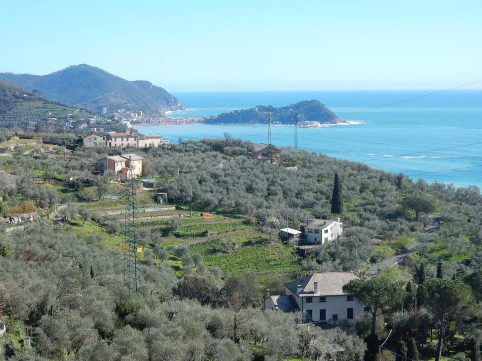 Sea view