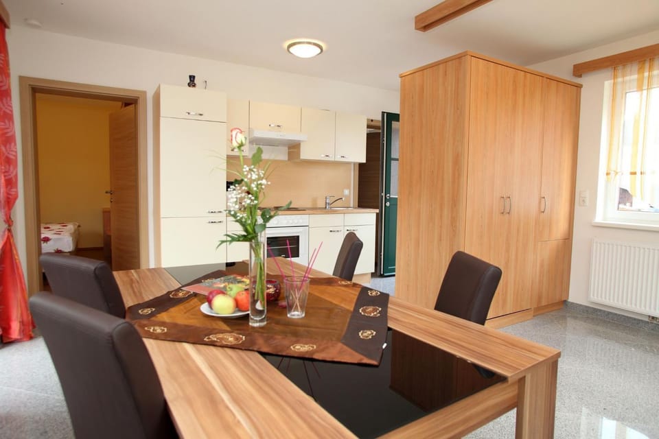 Apartmenthaus Franz Kleindienst Apartment in Styria