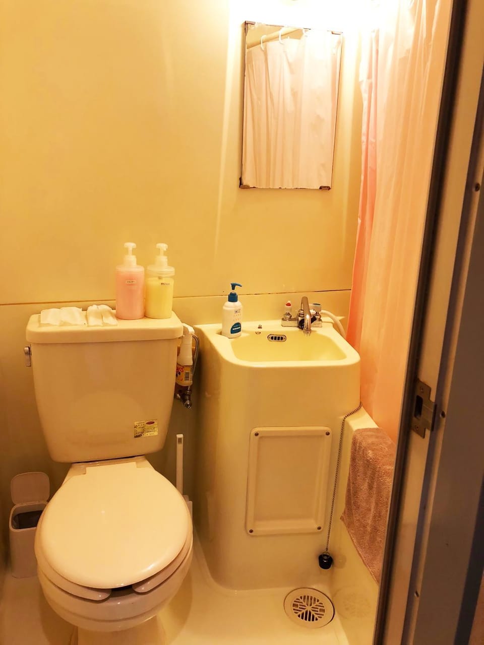 Toilet, Bathroom, On site