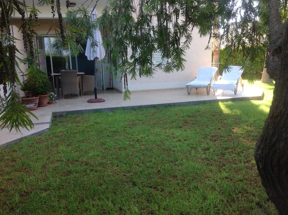 Patio, Garden