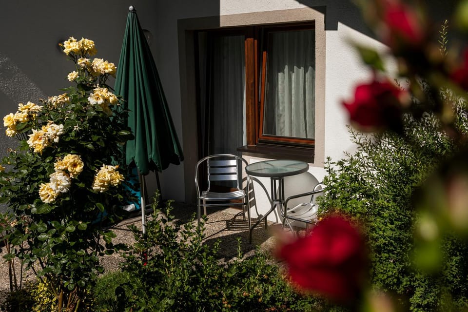 Garden, Seating area, Garden view