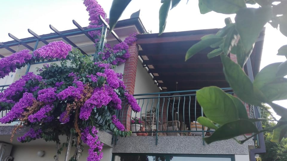 Balcony/Terrace, Balcony/Terrace
