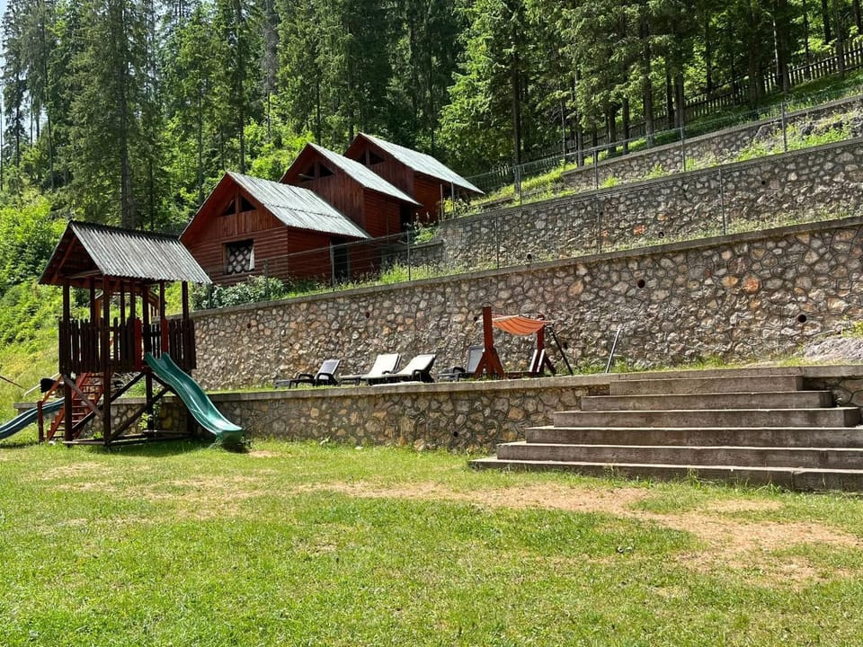 Pensiunea Cerbul Bed and Breakfast in Romania