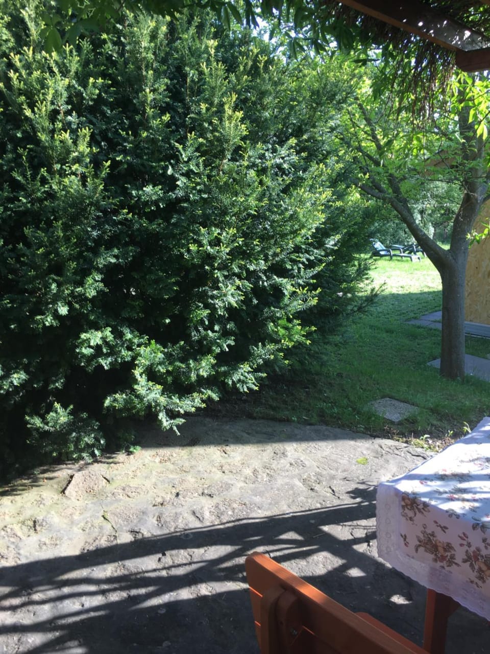 Andre & Moni Apartment in Hungary