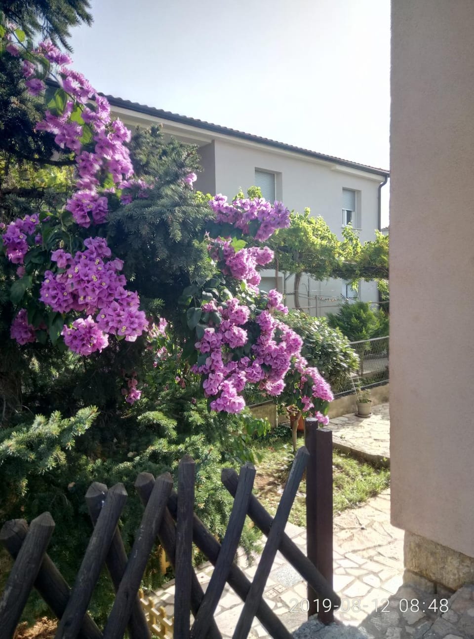 Apartman Vivian Apartment in Pula