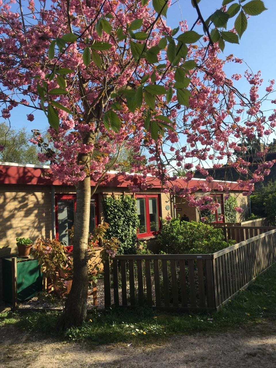 Property building, Garden