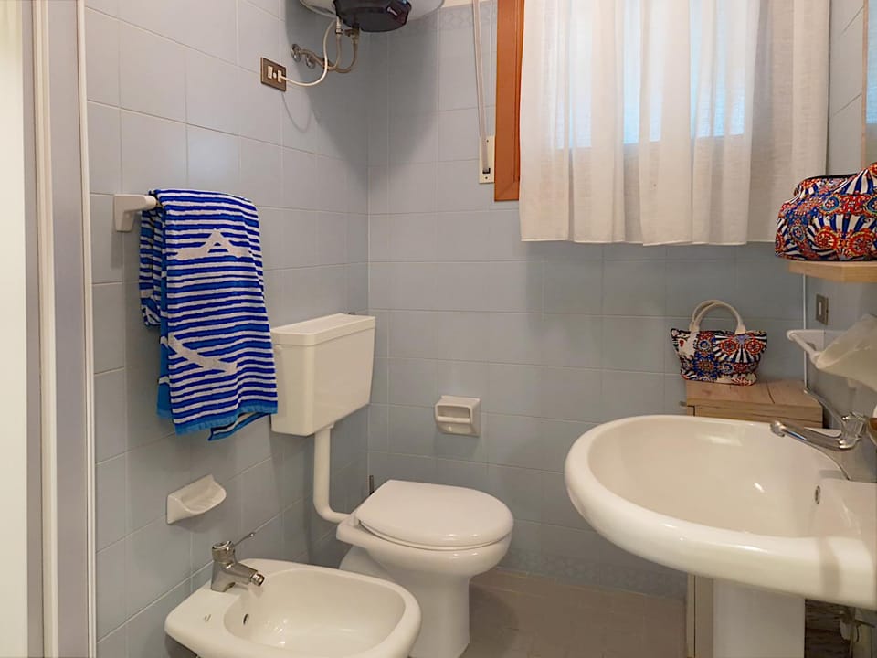 Shower, Toilet, Bathroom, bidet