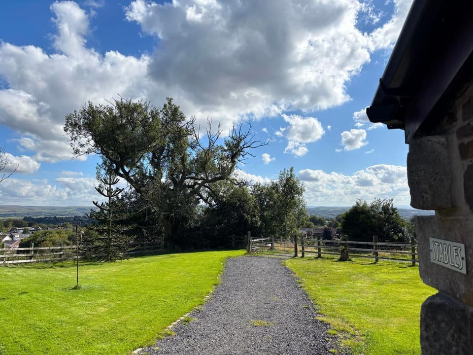 Garden view