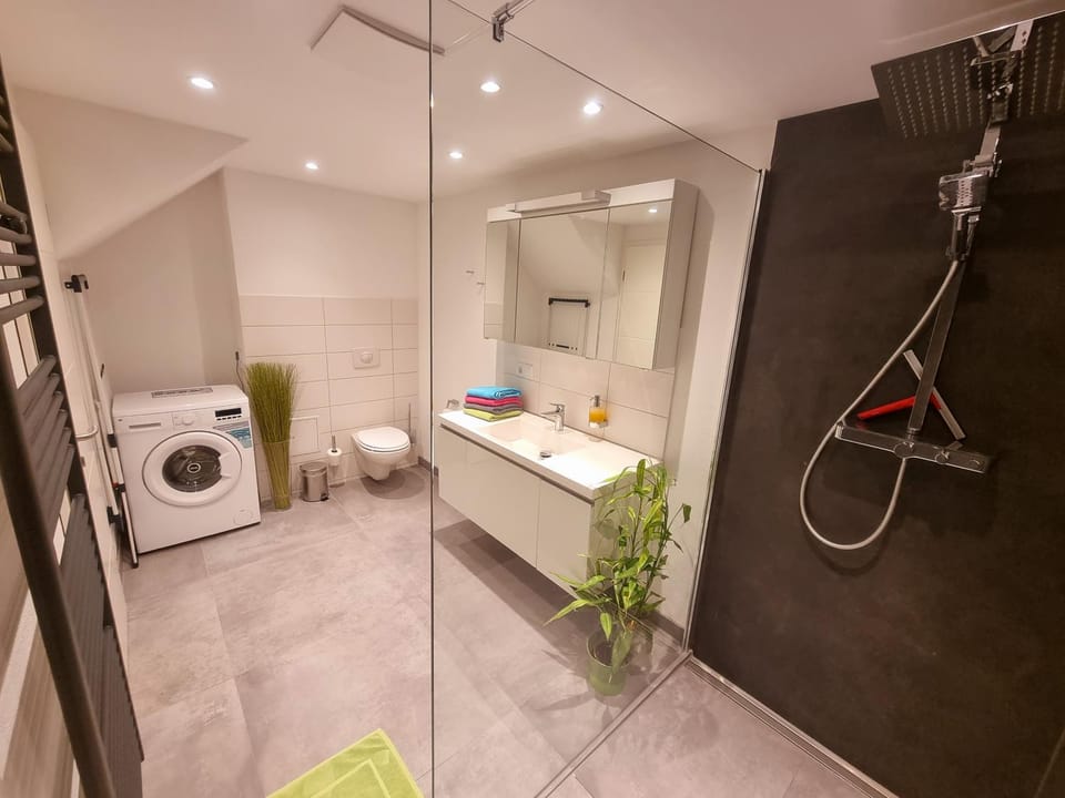 Shower, Toilet, Bathroom, towels, washing machine