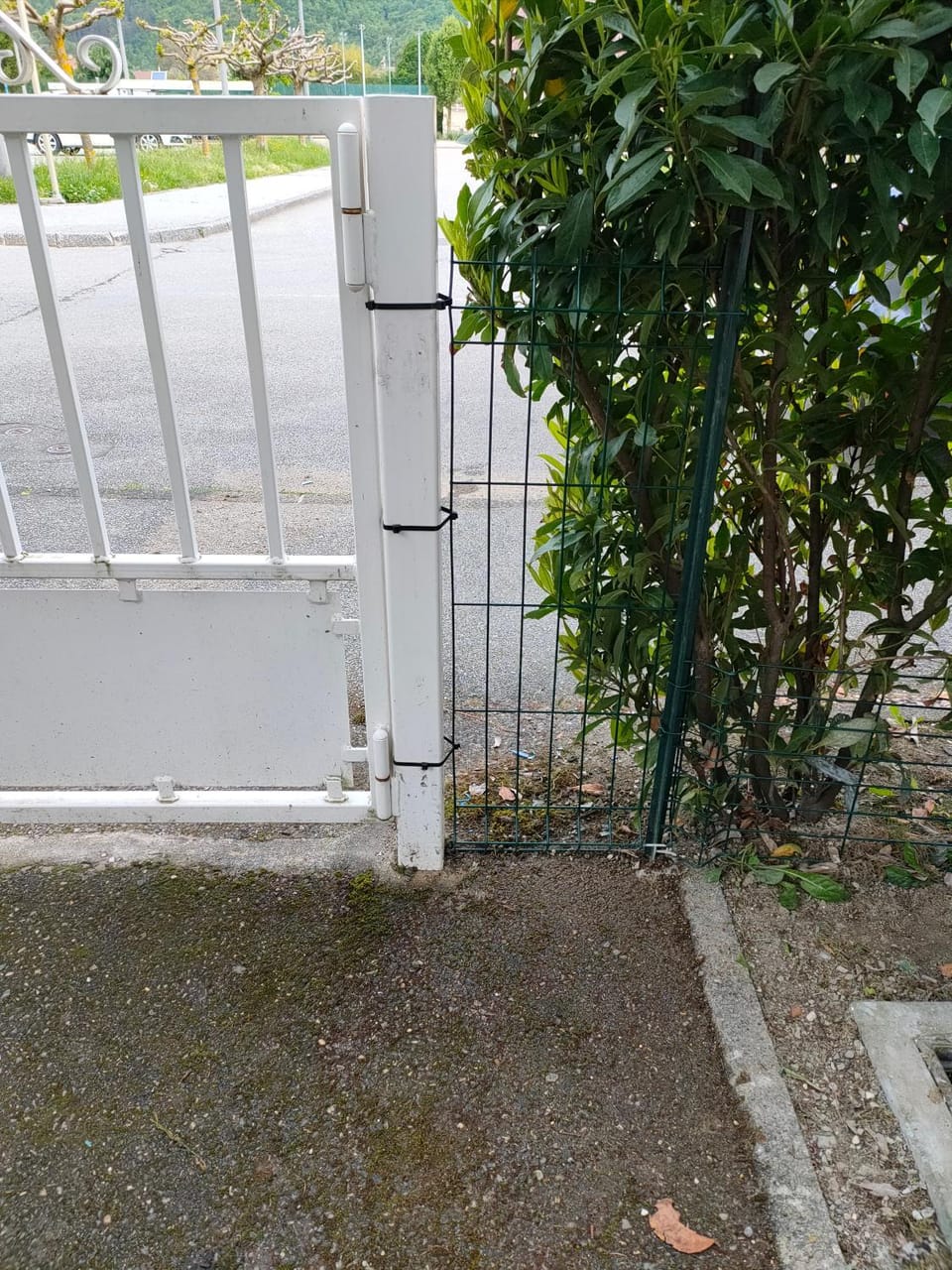 Le Nid Savoyard Apartment in Haute-Savoie
