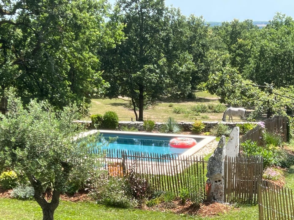 Spring, Day, Garden, Garden view, Pool view, Swimming pool, sunbed