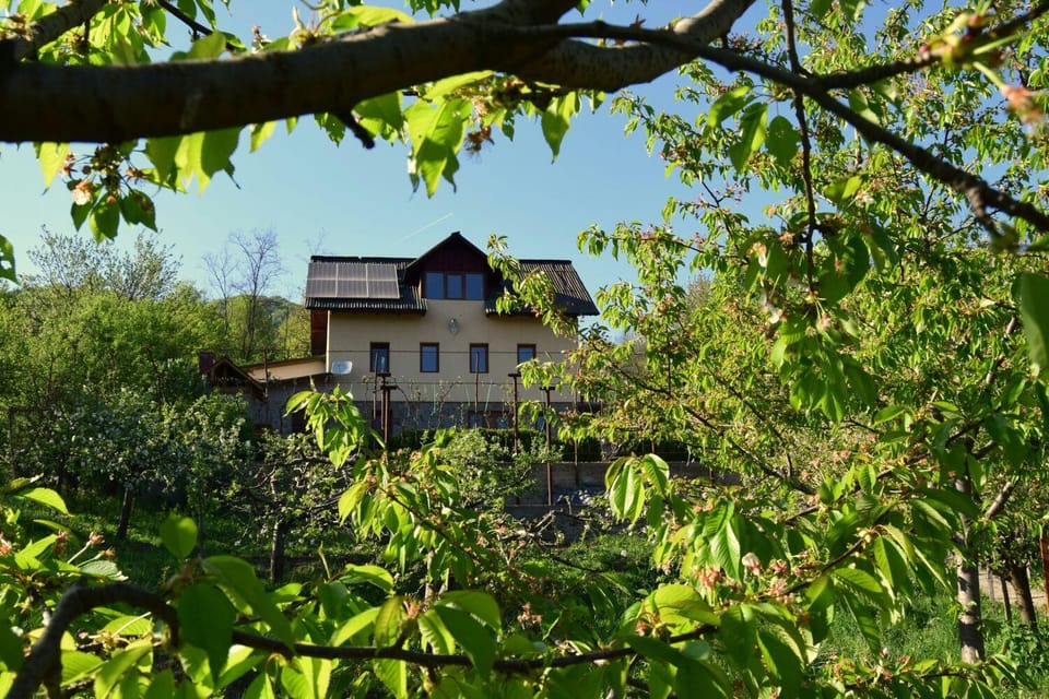 Casuta din Padure House in Romania