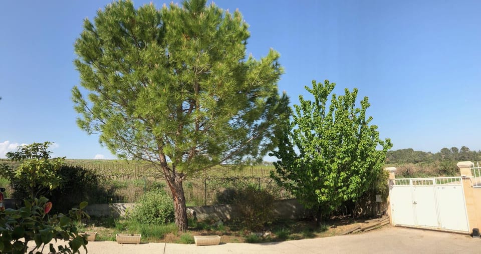 Facade/entrance, Garden, View (from property/room)