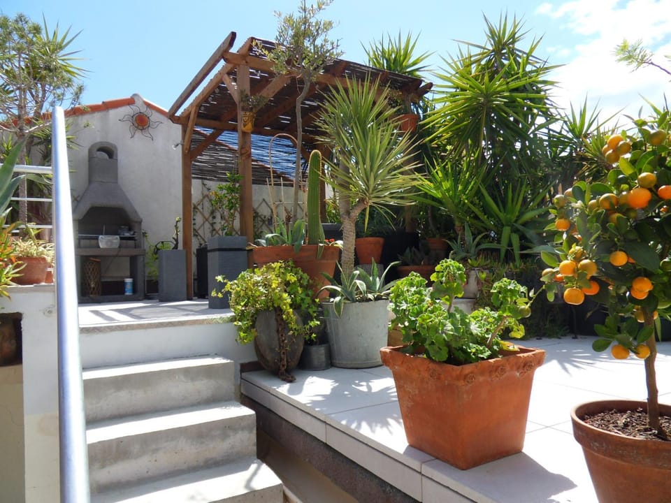 Garden view